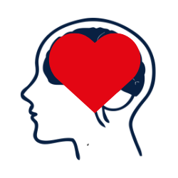 Il cuore nel cervello
