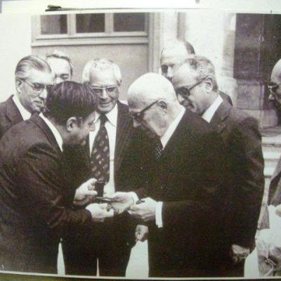 Storia Avis 21