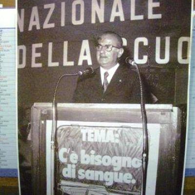 Storia Avis 23